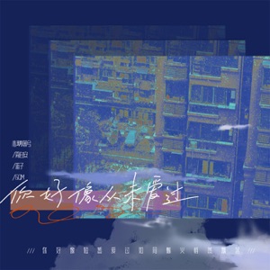 你好像从未爱过 - Single