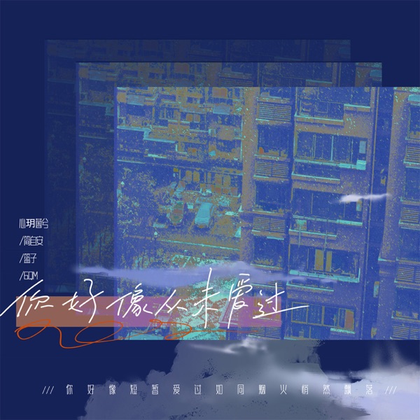 你好像从未爱过 - Single
