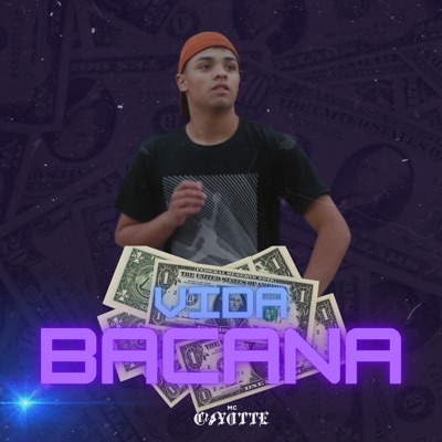 Vida Bacana - Single