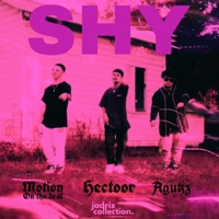 SHY (feat. Agutzz, Motion on the Beat & JADRIZ COLLECTION) - Single - Hectoor