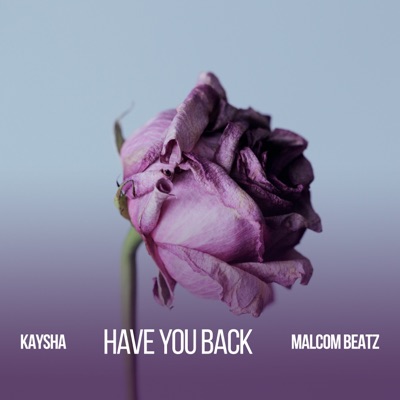Have You Back - Single