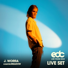 J. Worra at EDC Las Vegas 2023: Cosmic Meadow Stage (DJ Mix)