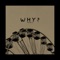 Why? - HhBro lyrics