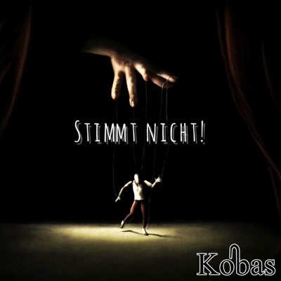Stimmt nicht! - Single