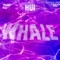 Whale (Inst.) artwork