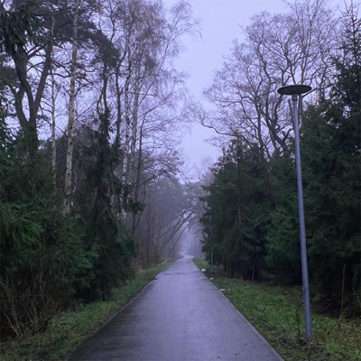 Daugiau Nenoriu - Single