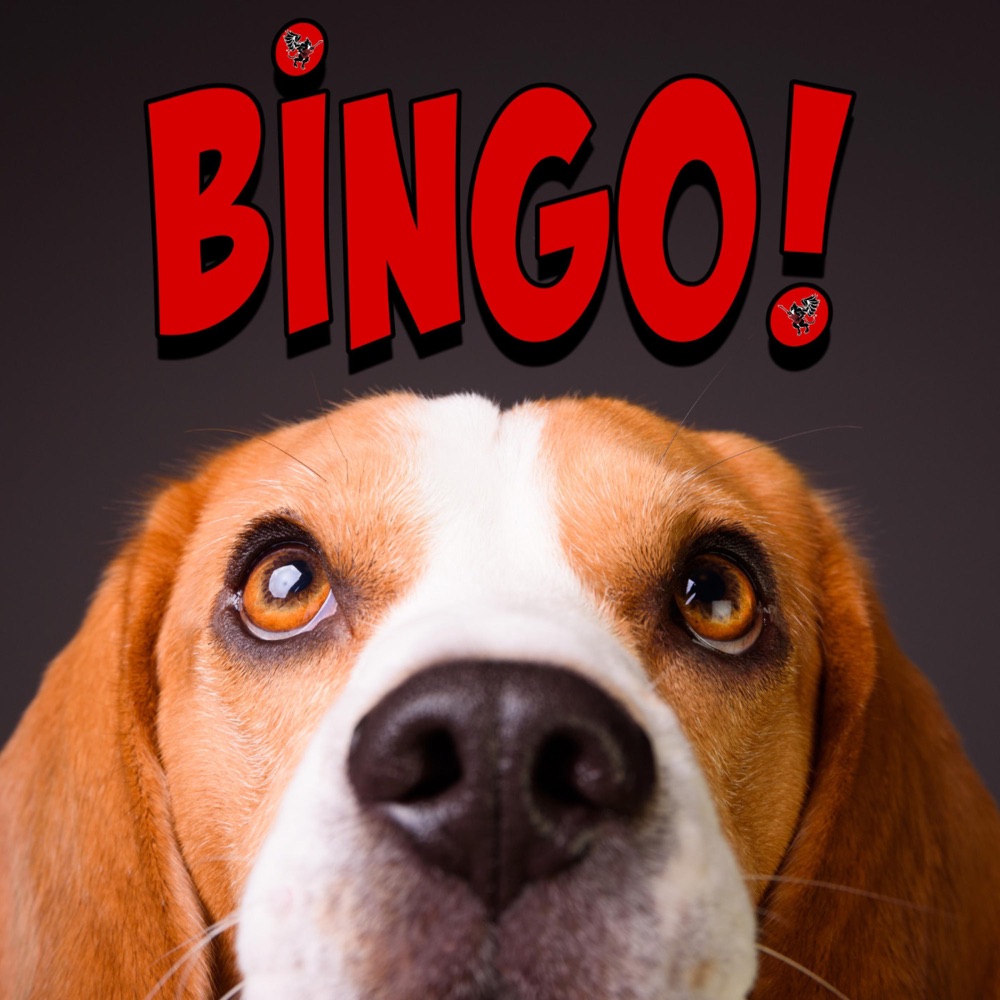 Обложка альбома «Bingo - Single» — Riffin' Griffin