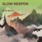 Slow Respon - DJ BR BARUS lyrics