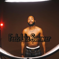 Feels Like Summer - Single - Emino