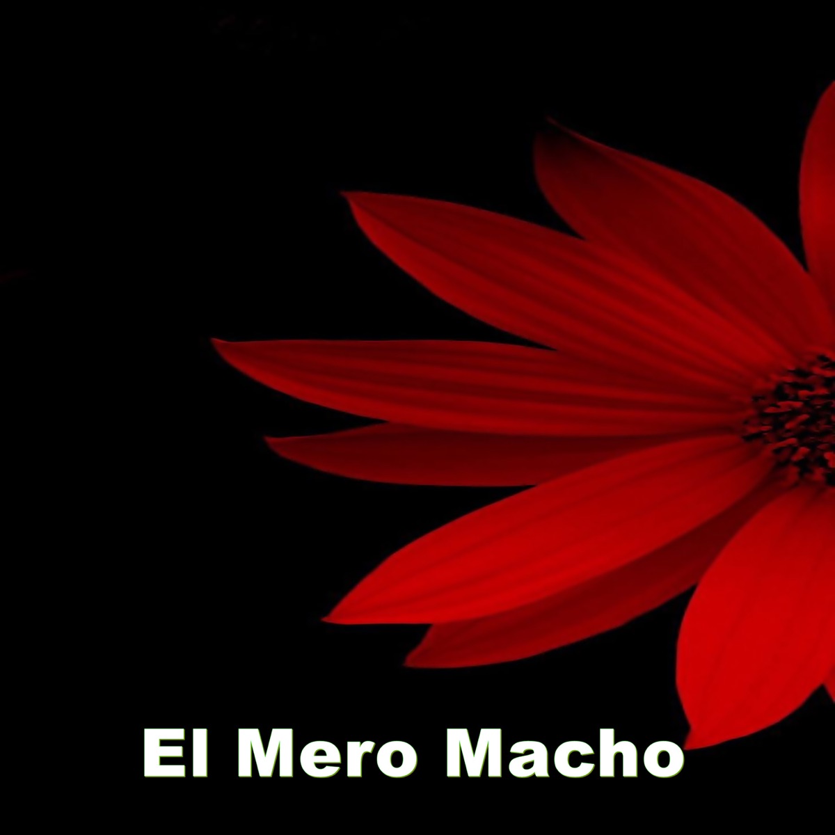 El Mero Macho - Single - Album by Big Show Del Mambo - Apple Music