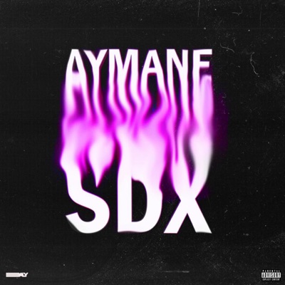 Mélange (feat. SDX) - Single