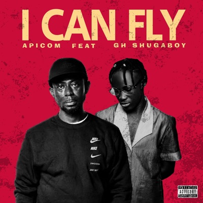 I can fly - Single