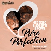 Pure Perfection (Cool Million Mix) artwork