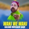 Wanj We Wanj - Sajjad Hussain Saqi lyrics