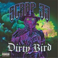 Dirty Bird - 33rdscrap