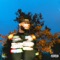 100 MPH (Interlude) - Krew$ lyrics