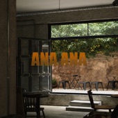 ANA ANA (remix) artwork