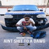 Ain't Shit to a Dawg - Single