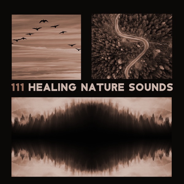 REM Sleep Inducing: Zazen