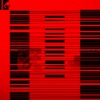 Niño de Elche - What If Earth Would Turn Faster (Damian Lazarus Re-Shape)