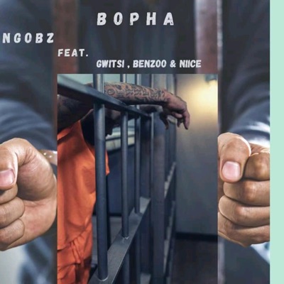 Bopha (feat. Benzoo, Gwiitsi & Niice) - Single