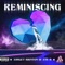 Reminiscing - Ashley Brinton lyrics