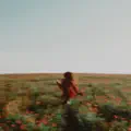 Dreams