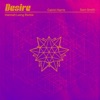 Desire (Hannah Laing Remix) - Single