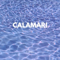 Calamari.Mp3 - Single - B. Chaps