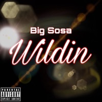 Wildin (Shawn Breezy Mix) - Single - Big Sosa