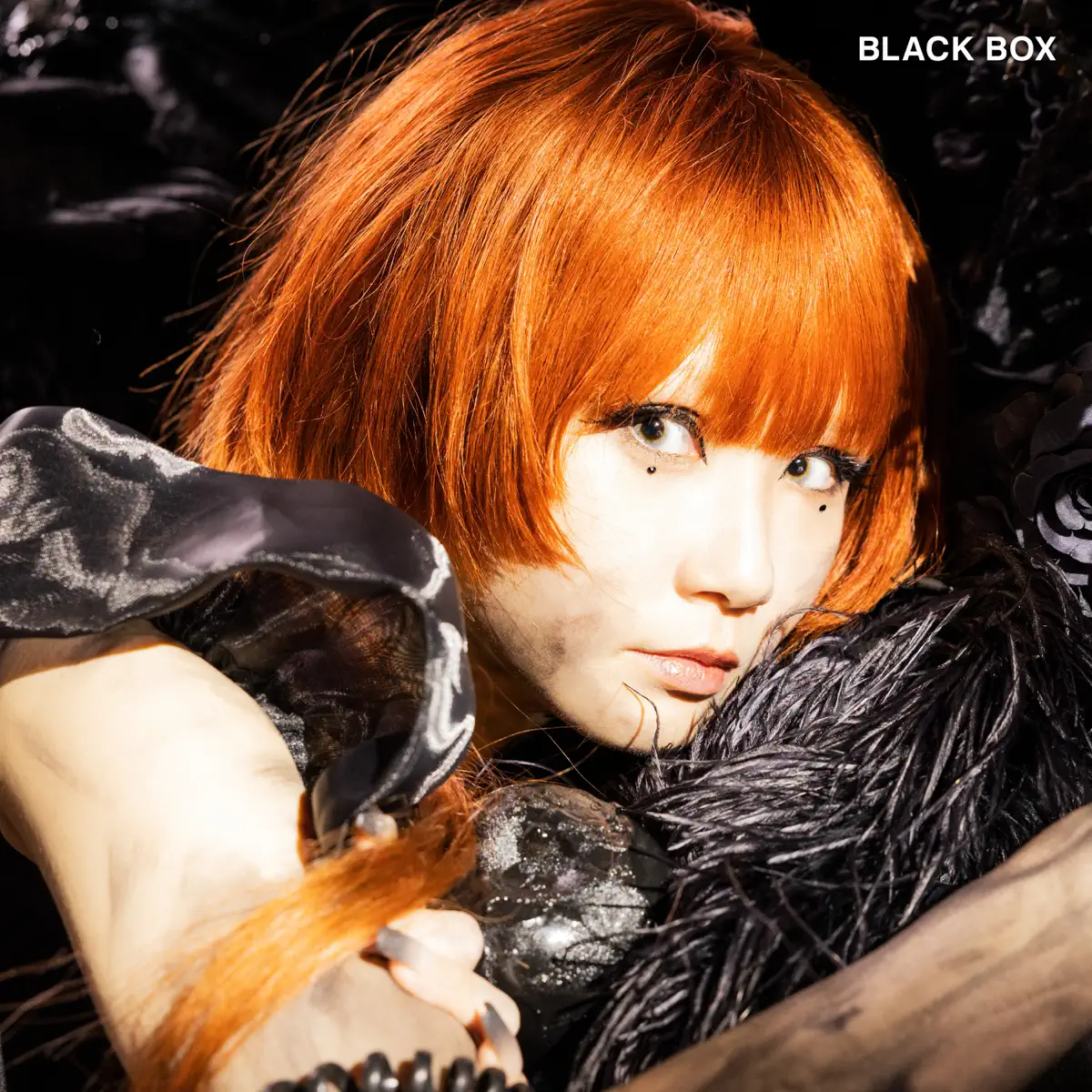 Reol - BLACK BOX (2023) [iTunes Plus AAC M4A]-新房子