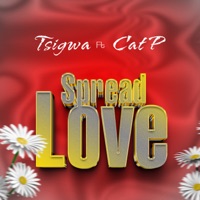 Spread Love (feat. Cat P) - Single - T Sigwa