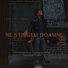 Ne Stingem Doamne - Single