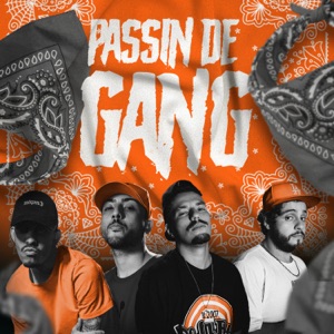 Passin de Gang (feat. Ghaín & SULPRICE)