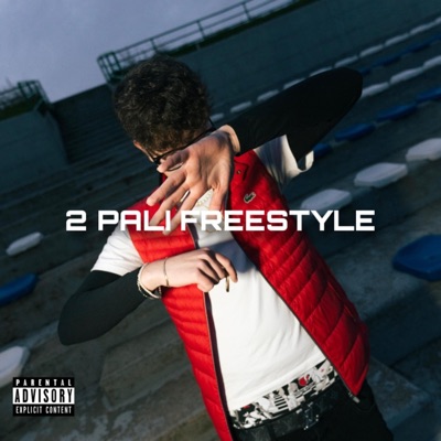 2 PALI FREESTYLE (feat. Sea Wss) - Single