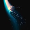 Rise cover art