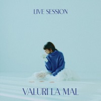 Valuri la mal (Live Session) - Single - Sabrina Stoica