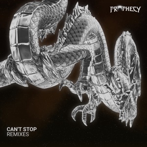 Can't Stop (Extended Remixes) - Single