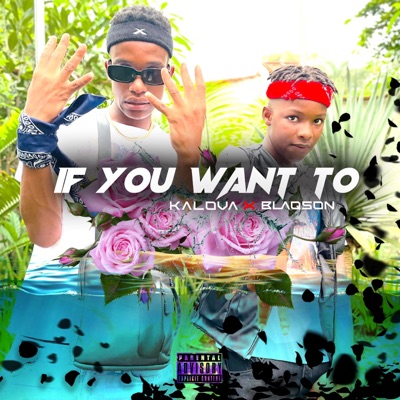_If_You_want_to_ - Single