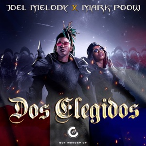 Tik Tok Remix (feat. Niño Freestyle, Amara La Negra, La Ross María & Shootter Ledo)