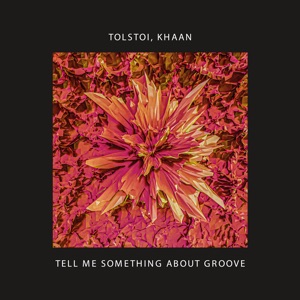 Tell Me Something About Groove - EP
