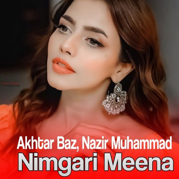 Nimgari Meena - EP