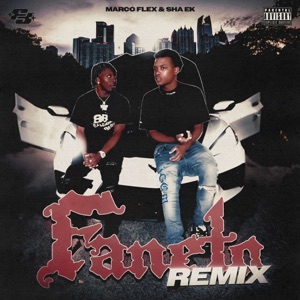 Faneto Remix