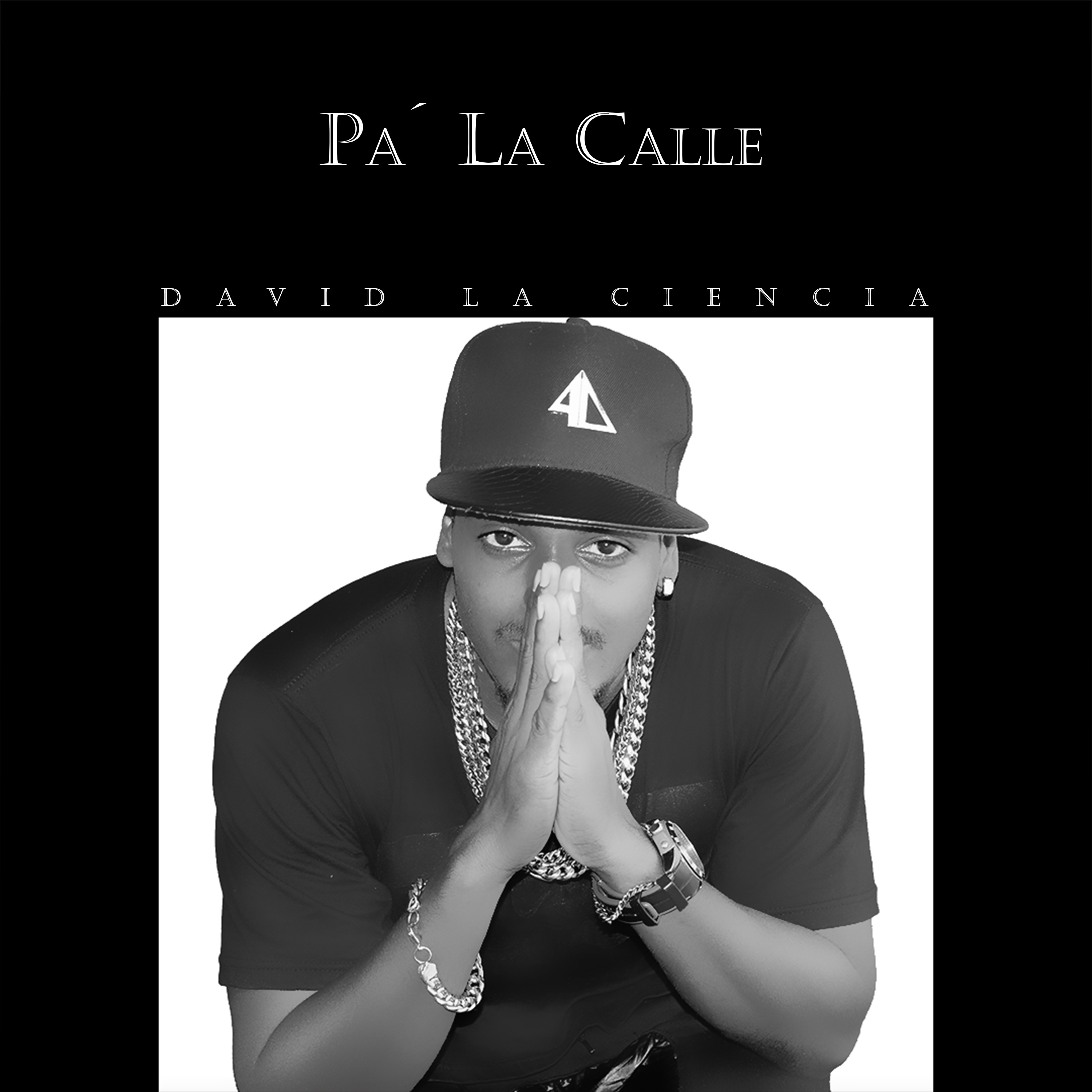 Pa'la Calle - Single