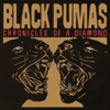 Black Pumas - Chronicles of a Diamond  artwork