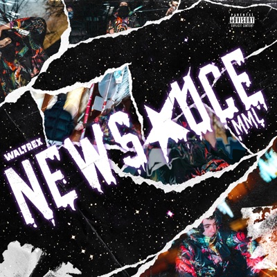 Newsauce