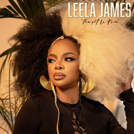 Art for Whatcha Done Now by Leela James