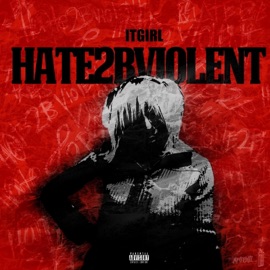 Hate2BViolent ItGirl