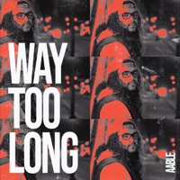 Way Too Long - Single - Aable