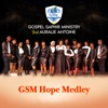 Gospel Saphir Ministry